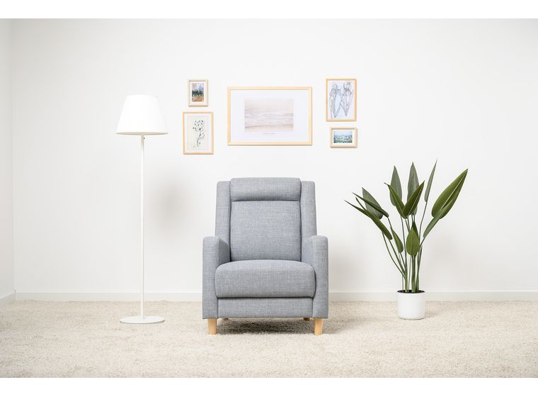 Кресло для отдыха Дилан ТК 464
